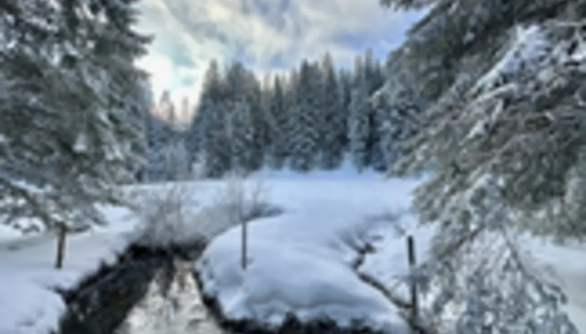 2025-01-06 LVS Schulung Schneeschuhtourengänger | © Copyright: DAV Sektion Isny