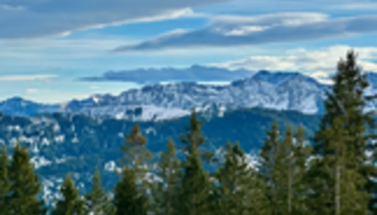 2025-01-06 LVS Schulung Schneeschuhtourengänger | © Copyright: DAV Sektion Isny