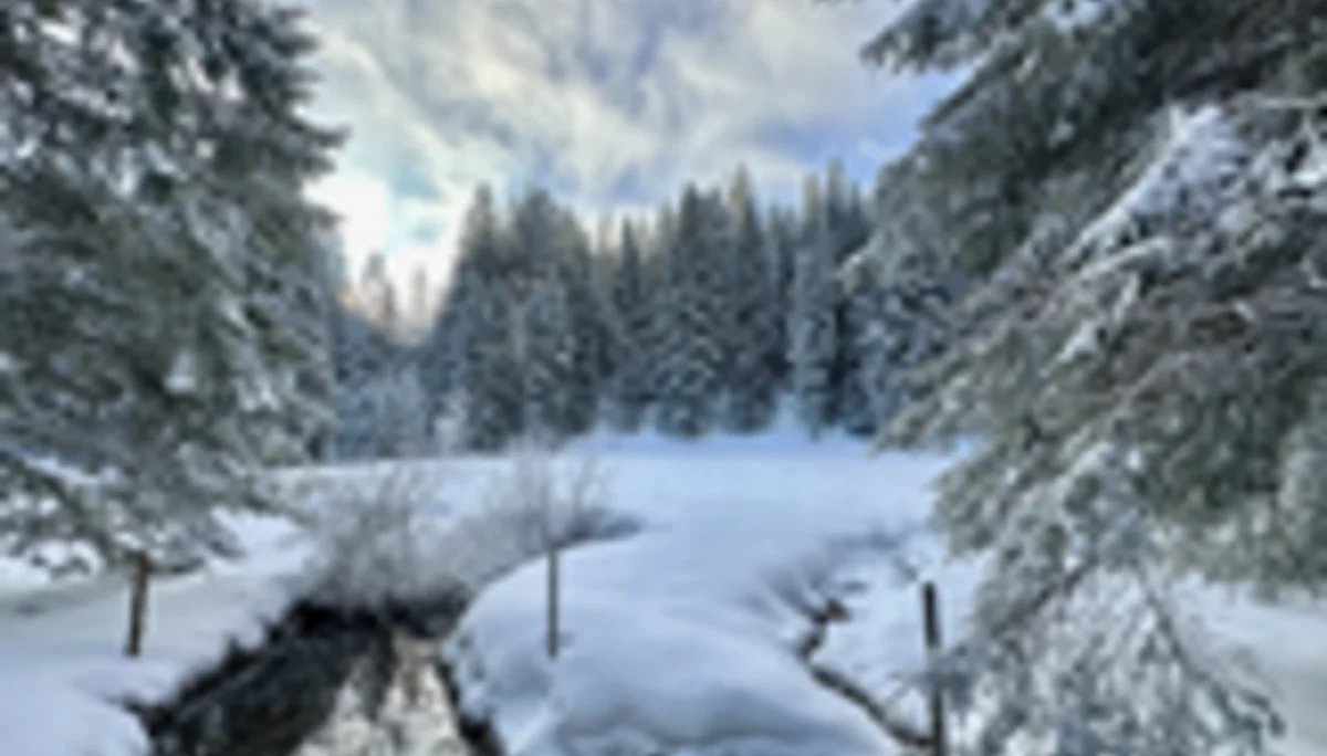 2025-01-11 Schneeschuhtour Immenstädter Horn | © Copyright: DAV Sektion Isny