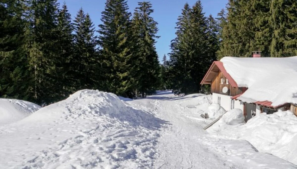 2025-01-11 Schneeschuhtour Immenstädter Horn | © Copyright: DAV Sektion Isny