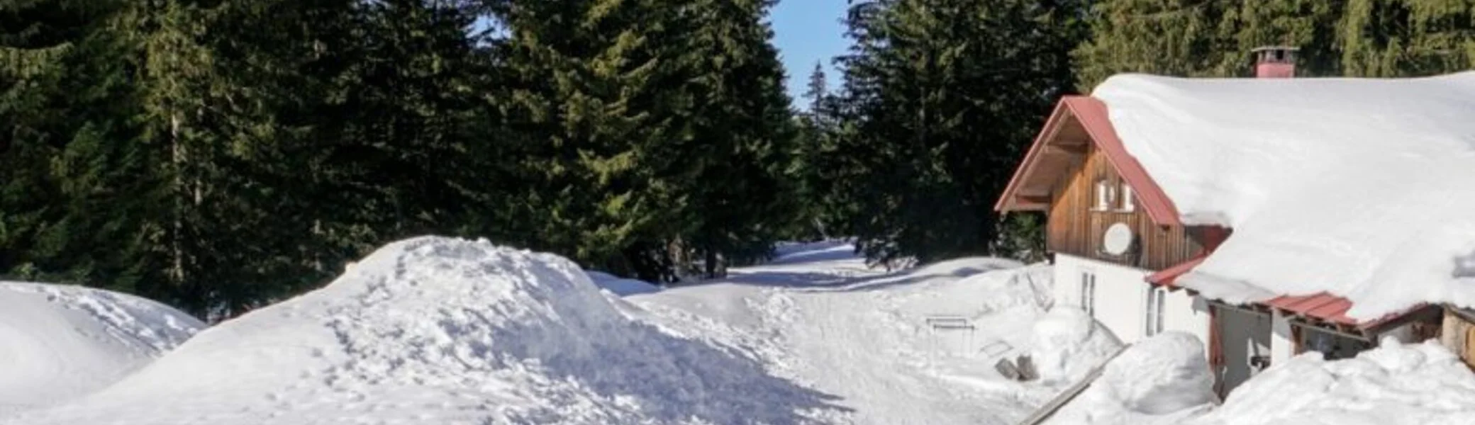 2025-01-11 Schneeschuhtour Immenstädter Horn | © Copyright: DAV Sektion Isny