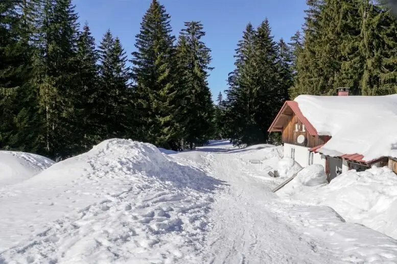 2025-01-11 Schneeschuhtour Immenstädter Horn | © Copyright: DAV Sektion Isny