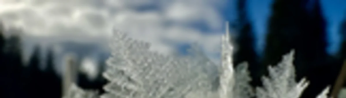 2025-01-11 Schneeschuhtour Immenstädter Horn | © Copyright: DAV Sektion Isny