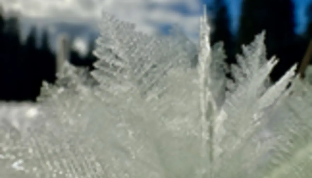 2025-01-11 Schneeschuhtour Immenstädter Horn | © Copyright: DAV Sektion Isny