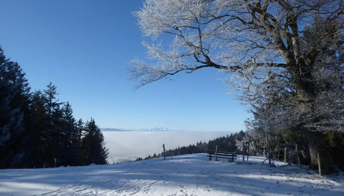 2025-01-17 LVS Ausbildung für Skitourer | © Copyright: DAV Sektion Isny