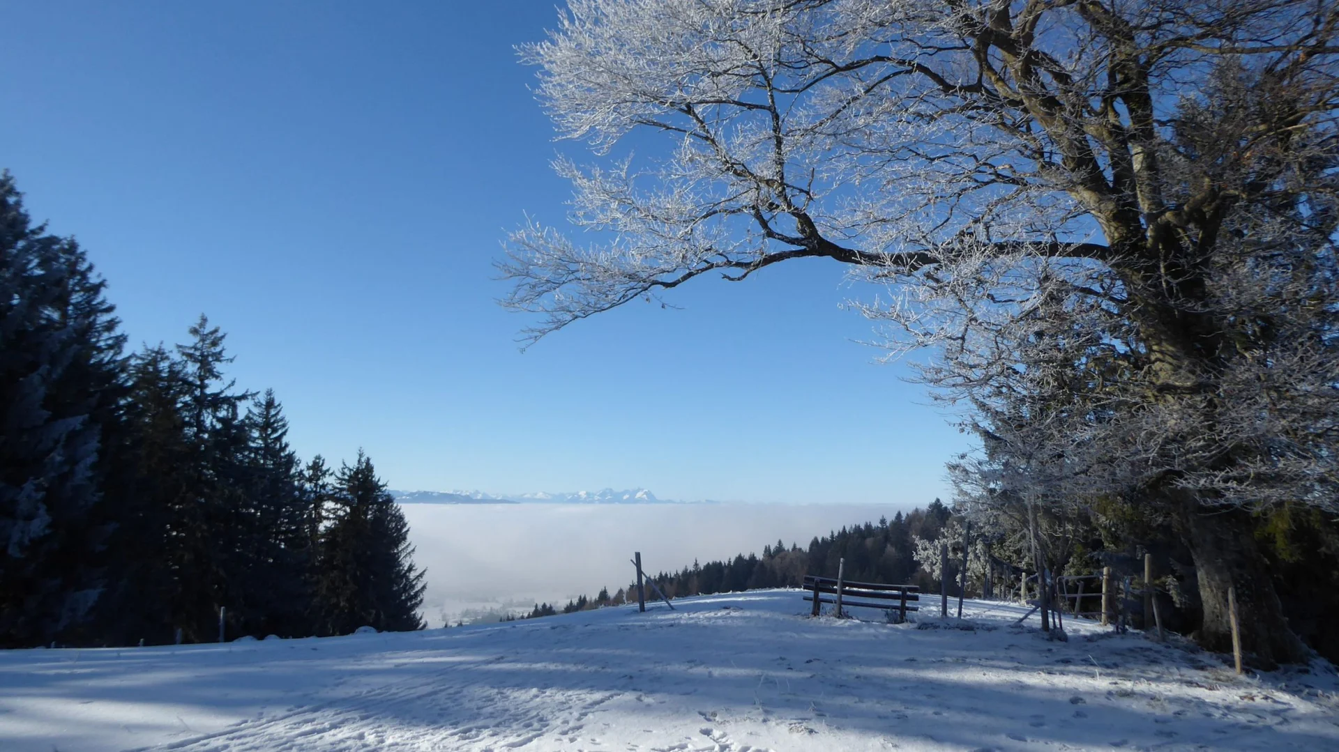2025-01-17 LVS Ausbildung für Skitourer | © Copyright: DAV Sektion Isny