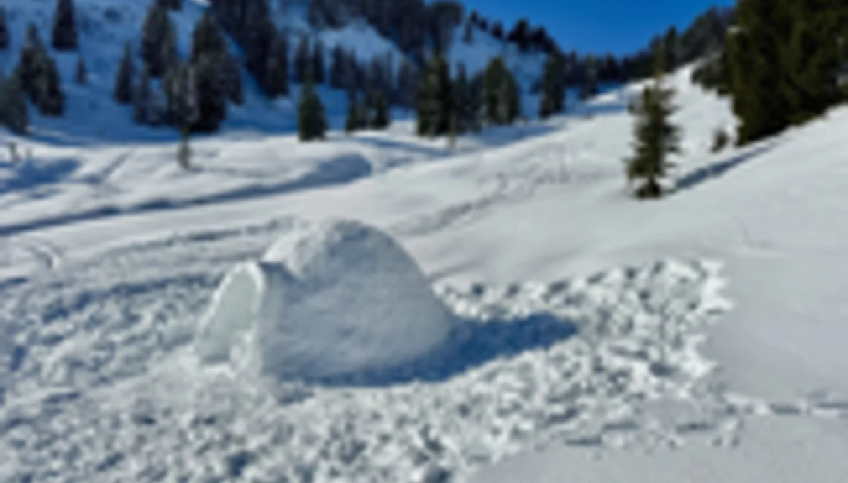 2025-02-01 Schneeschuhtour zum Feuerstätter Kopf | © Copyright: DAV Sektion Isny