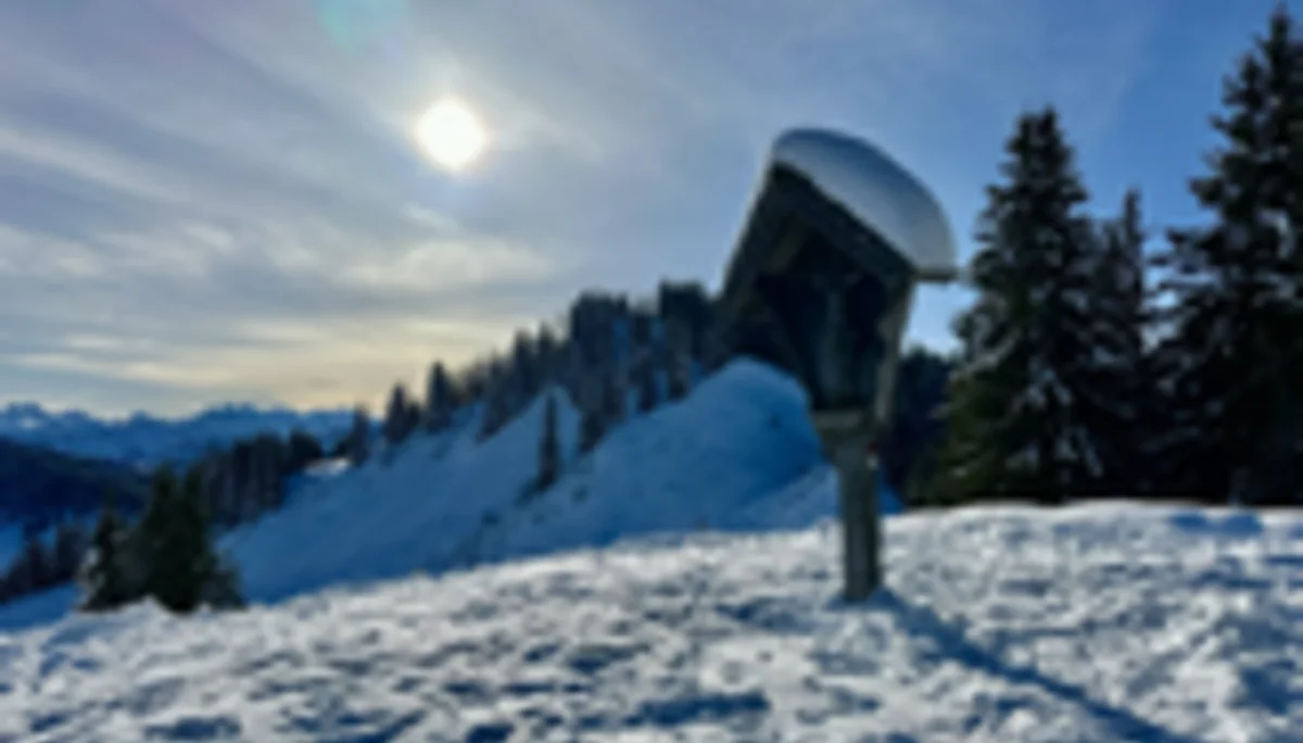 2025-02-01 Schneeschuhtour zum Feuerstätter Kopf | © Copyright: DAV Sektion Isny