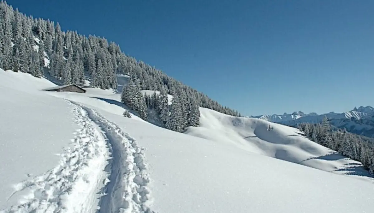 2025-02-01 Schneeschuhtour zum Feuerstätter Kopf | © Copyright: DAV Sektion Isny