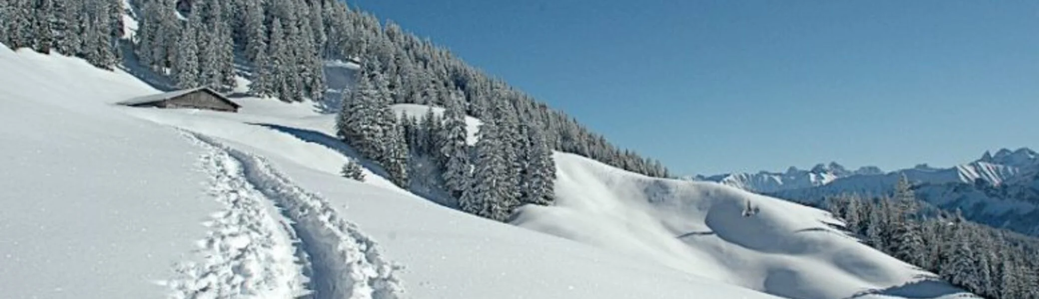 2025-02-01 Schneeschuhtour zum Feuerstätter Kopf | © Copyright: DAV Sektion Isny