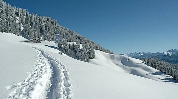 2025-02-01 Schneeschuhtour zum Feuerstätter Kopf | © Copyright: DAV Sektion Isny
