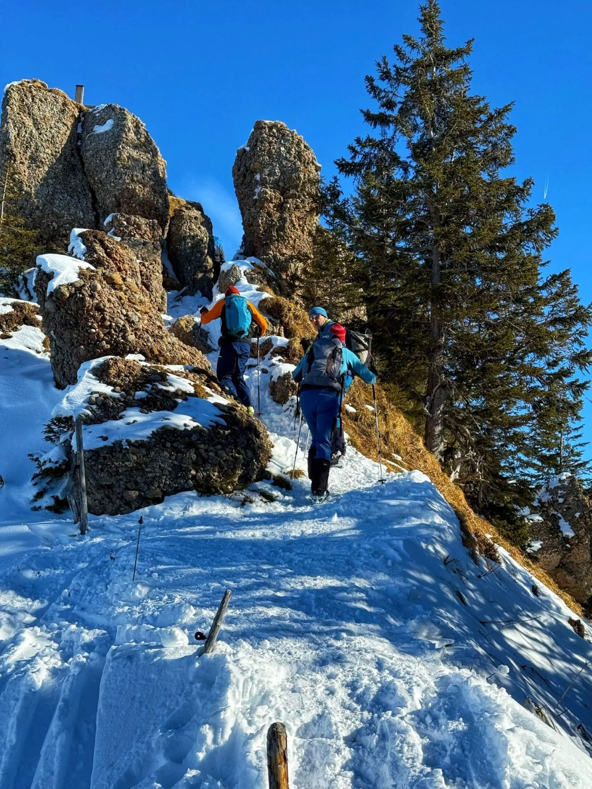 2025-02-02 Skitour Heidenkopf | © Copyright: DAV Sektion Isny