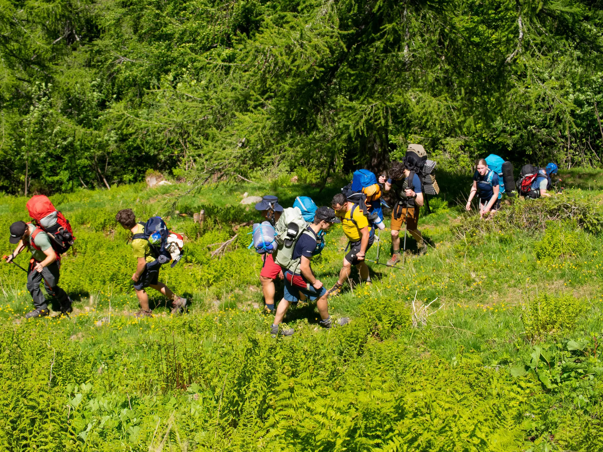 2025-05-29 Die Jugend in der Wildnis | © Copyright: DAV Sektion Isny