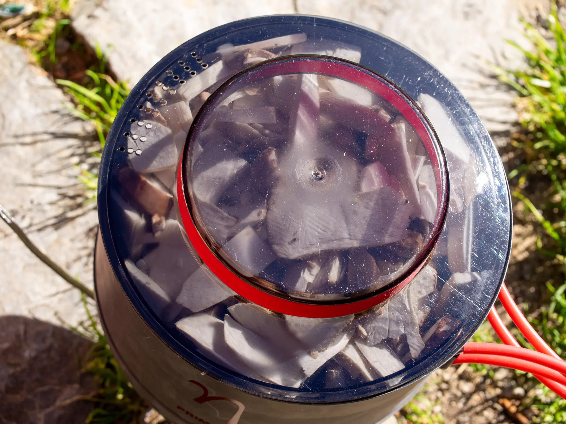 2025-05-29 Die Jugend in der Wildnis | © Copyright: DAV Sektion Isny