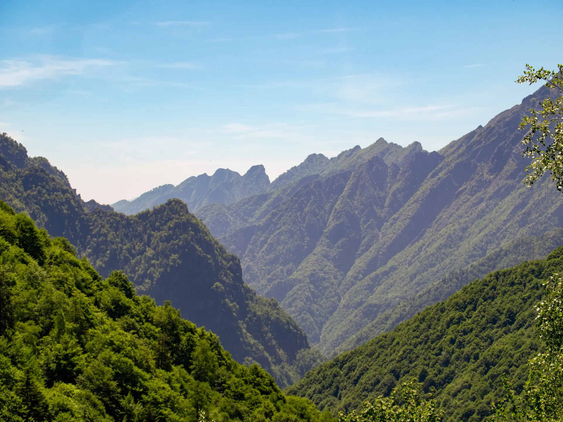 2025-05-29 Die Jugend in der Wildnis | © Copyright: DAV Sektion Isny