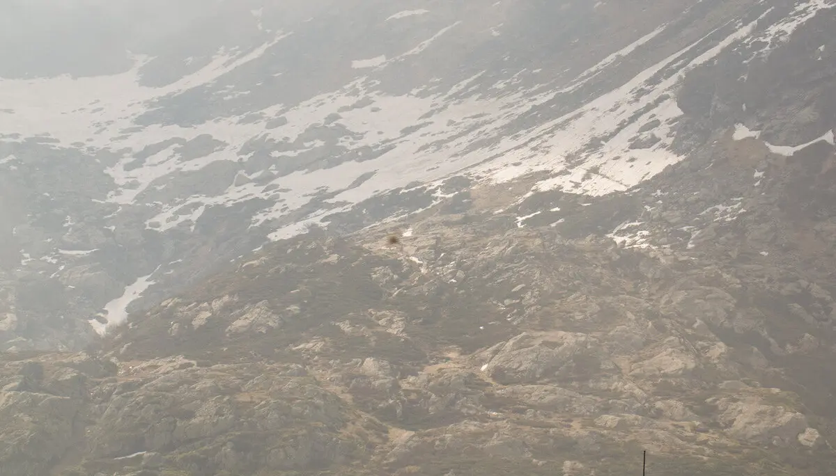 2025-05-29 Die Jugend in der Wildnis | © Copyright: DAV Sektion Isny