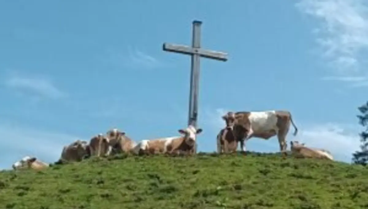 2025-06-21 Rohnenspitze und Zirleseck | © Copyright: DAV Sektion Isny