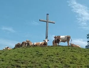 2025-06-21 Rohnenspitze und Zirleseck | © Copyright: DAV Sektion Isny