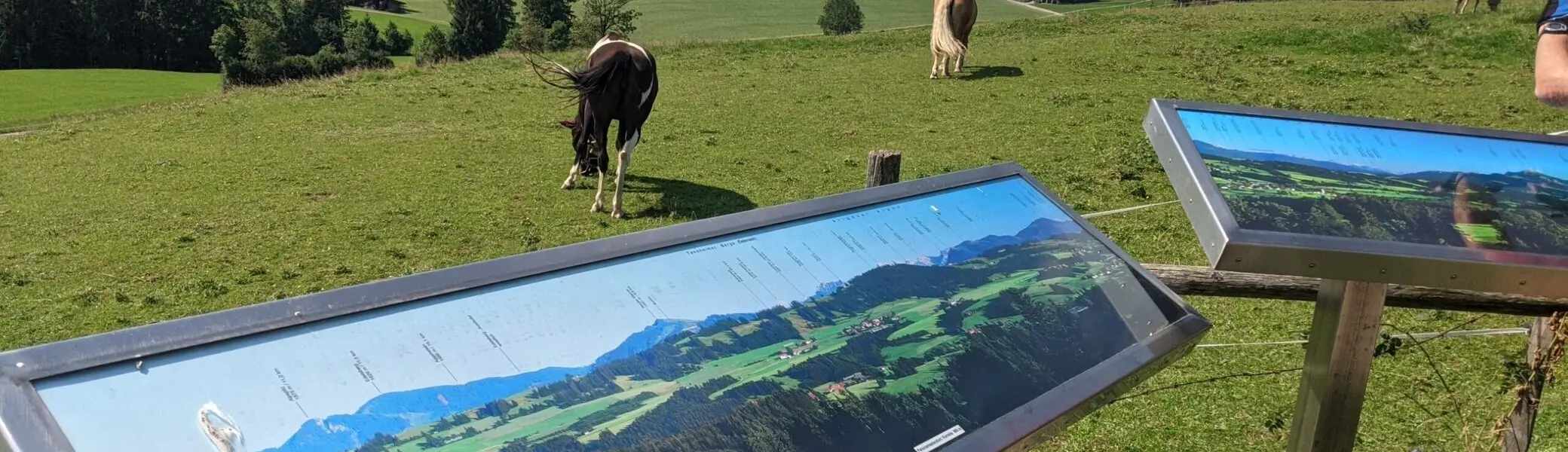 2025-08-09 Rennradtour Auf'm Buch | © Copyright: DAV Sektion Isny