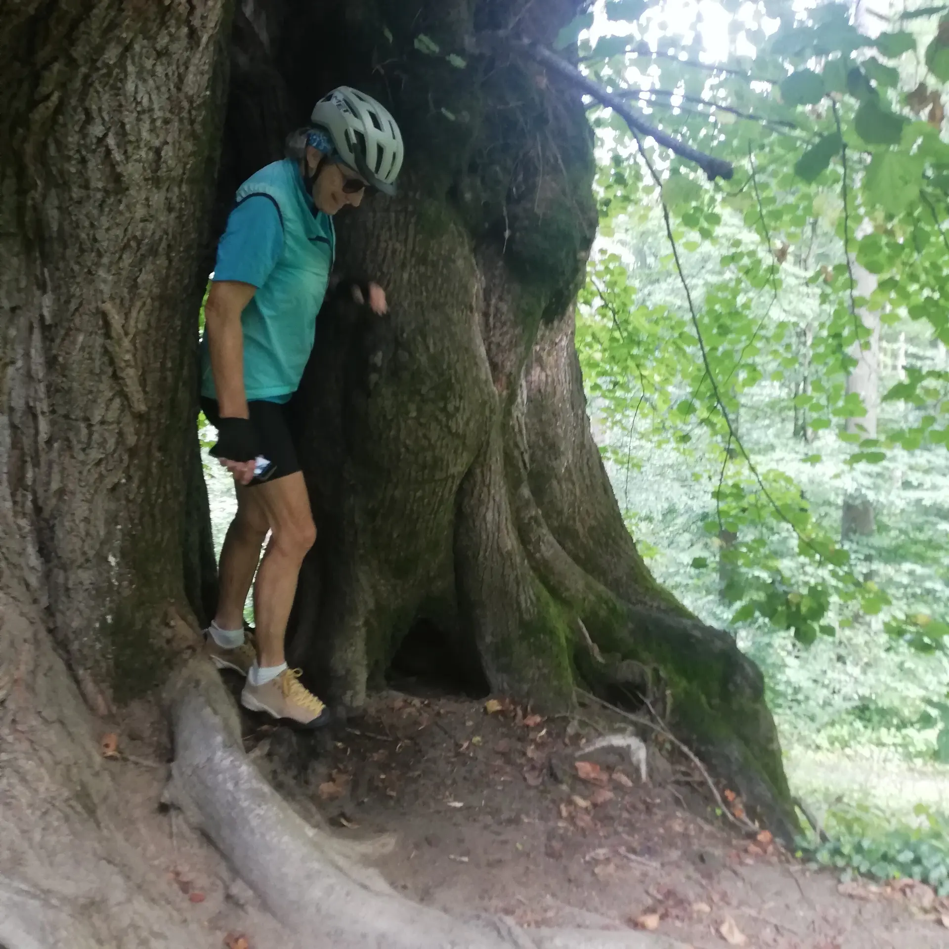 2025-08-27 E Bike Tour Rund um Argenbühl | © Copyright: DAV Sektion Isny