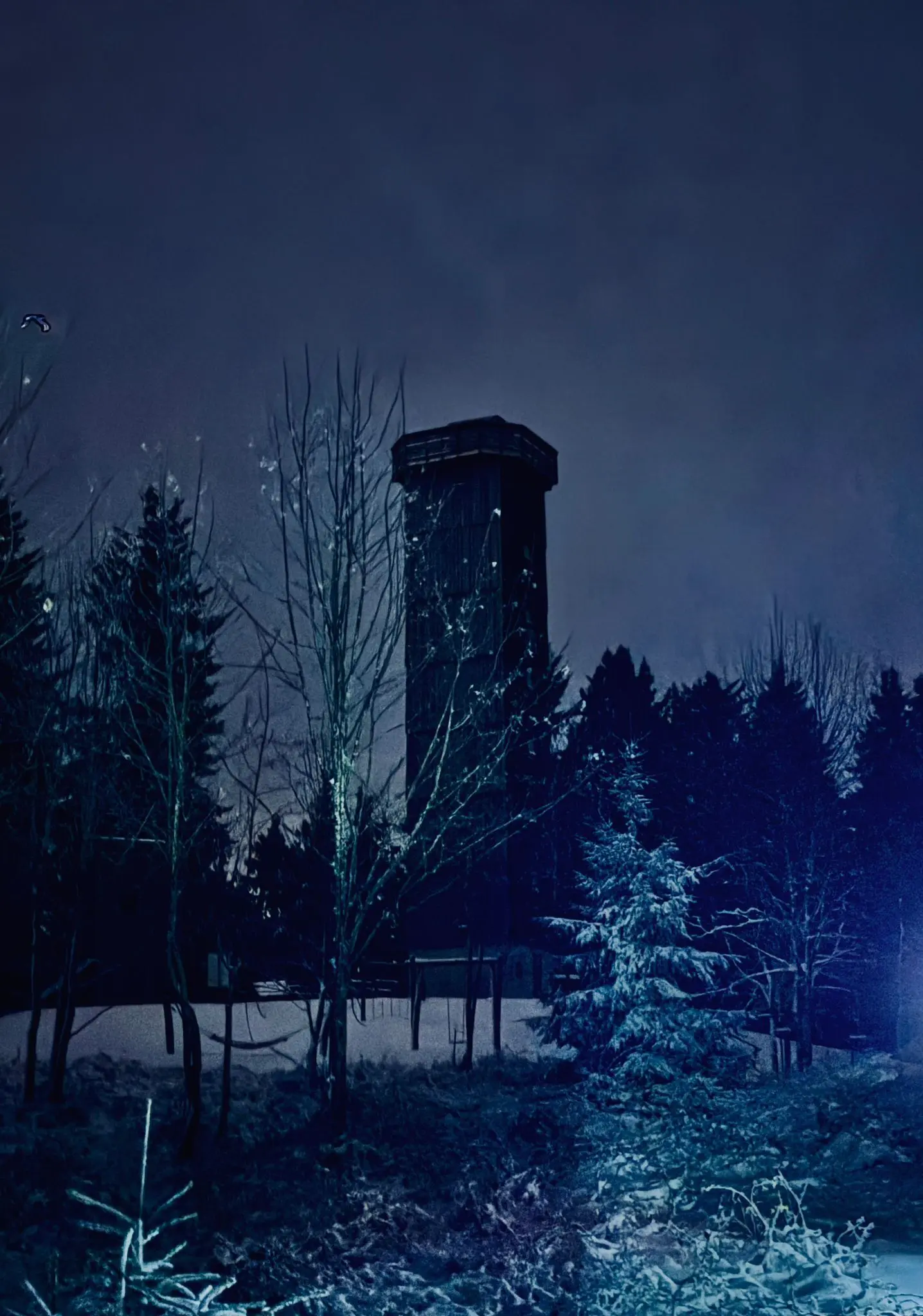 2026-01-03 Vollmondtour zum Schwarzen Grat | © Copyright: DAV Sektion Isny