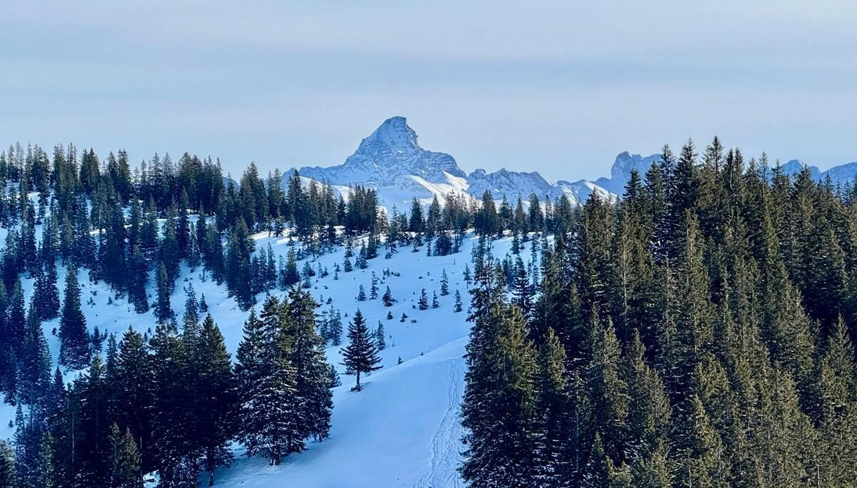 2026-01-06 LVS-Kurs für Schneeschuhgeher | © Copyright: DAV Sektion Isny