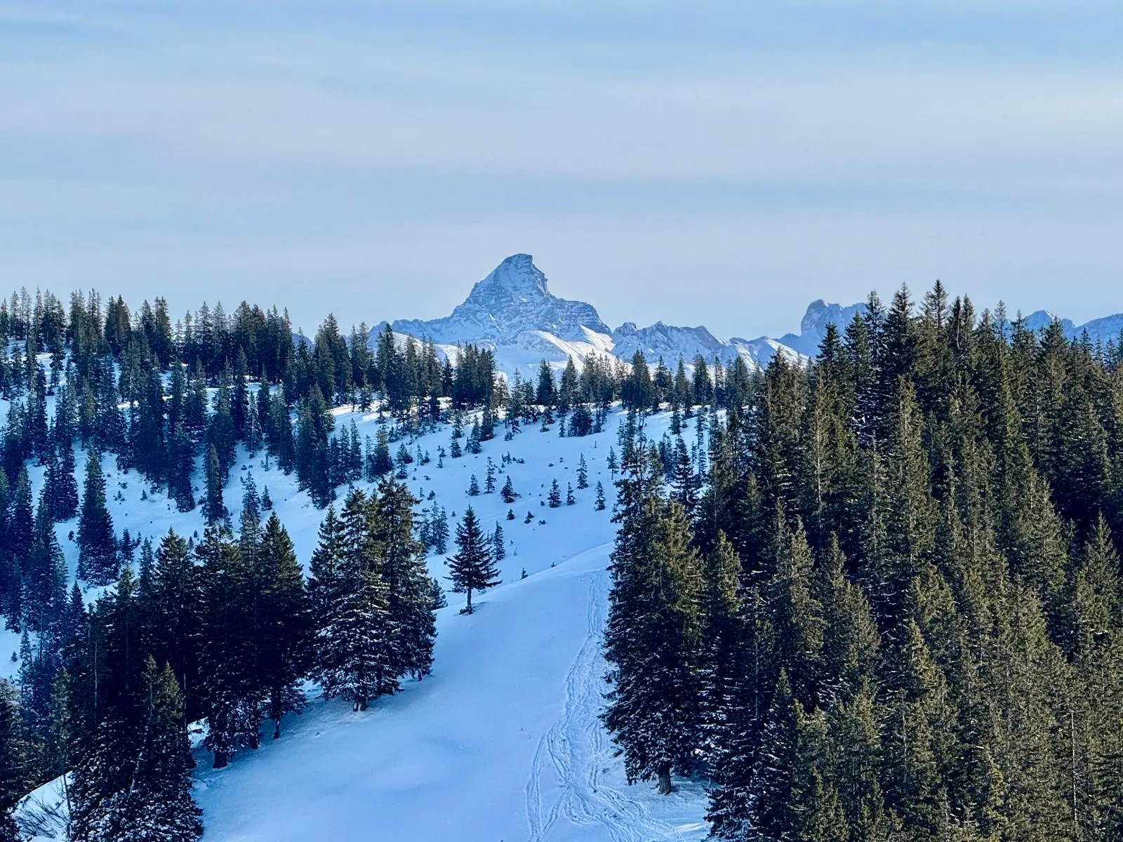 2026-01-06 LVS-Kurs für Schneeschuhgeher | © Copyright: DAV Sektion Isny