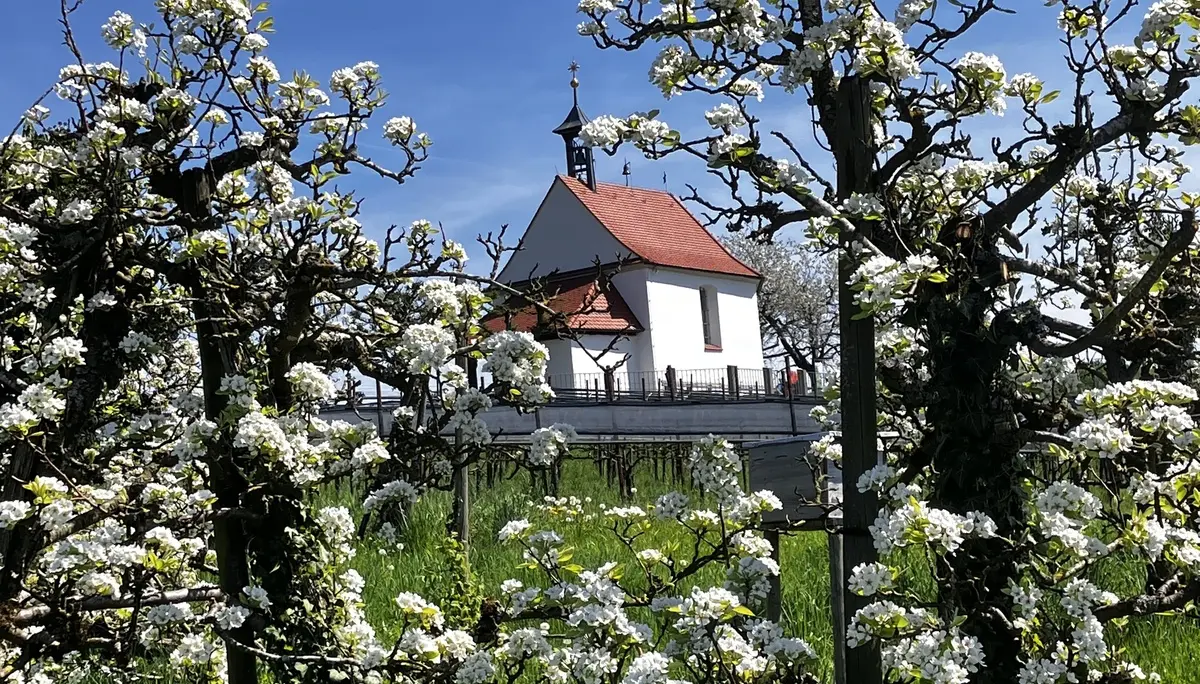 2026-04-18 Frühjahrstour an's Schwäbische Meer - St. Antonius-Kapelle in Selmnau | © Copyright: DAV Sektion Isny
