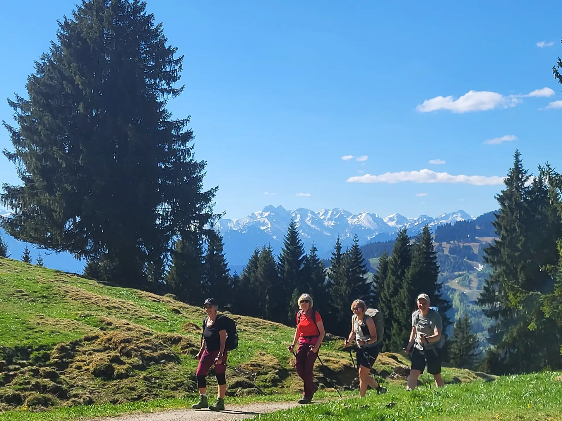 2026-05-02 Bergsommer-Auftaktstour auf Steineberg  und Mittagberg | © Copyright: DAV Sektion Isny
