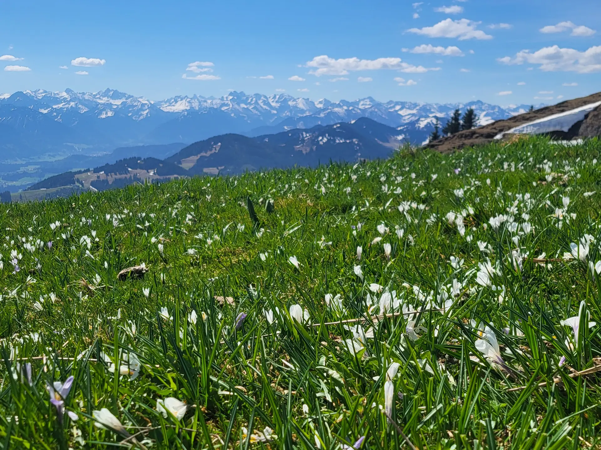 2026-05-02 Bergsommer-Auftaktstour auf Steineberg  und Mittagberg | © Copyright: DAV Sektion Isny