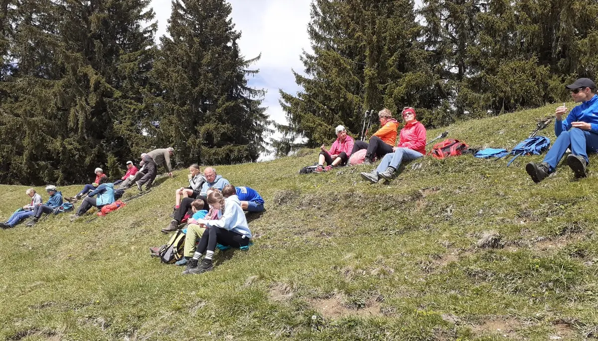 2026-05-17 Frühjahrswanderung auf Prodel und Denneberg | © Copyright: DAV Sektion Isny