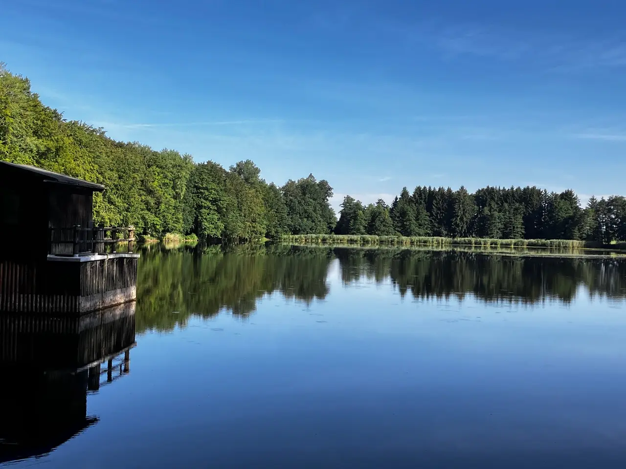 2026-06-27 Mit dem Rennrad in die Höll - Der Langwuhrweiher | © Copyright: DAV Sektion Isny