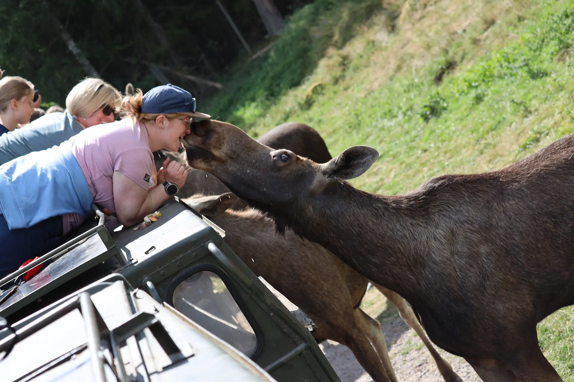 2026-07-31 bis 2026-08-16 Schweden Sommerhütte Jugend 2026 | © Copyright: DAV Sektion Isny