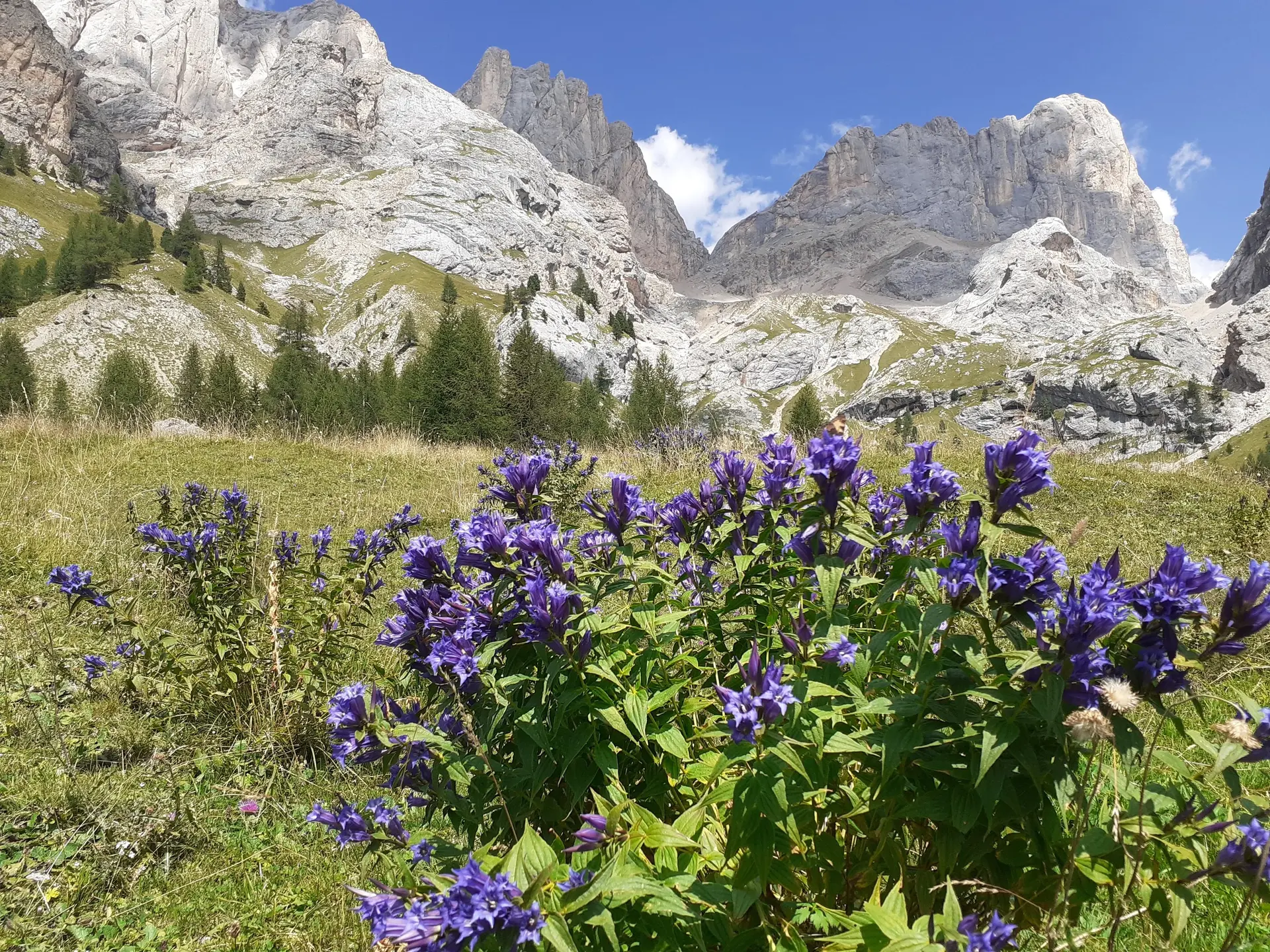 2026-08-13 bis 2026-08-16  Klettersteige im Marmolada-Gebiet | © Copyright: DAV Sektion Isny