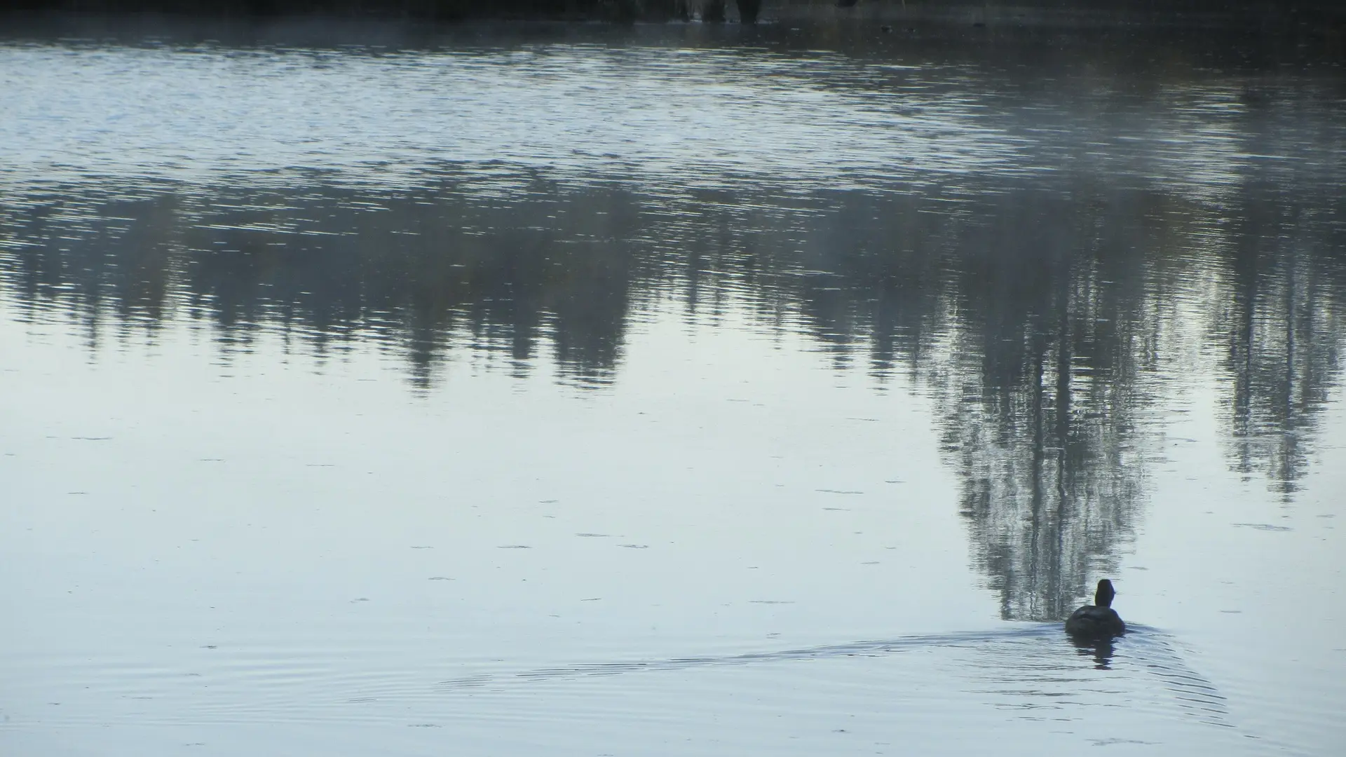 2025-07-26 Zum Sachsenrieder-Weiher | © Copyright: DAV Sektion Isny