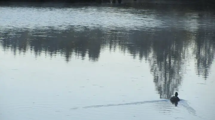 2025-07-26 Zum Sachsenrieder-Weiher | © Copyright: DAV Sektion Isny