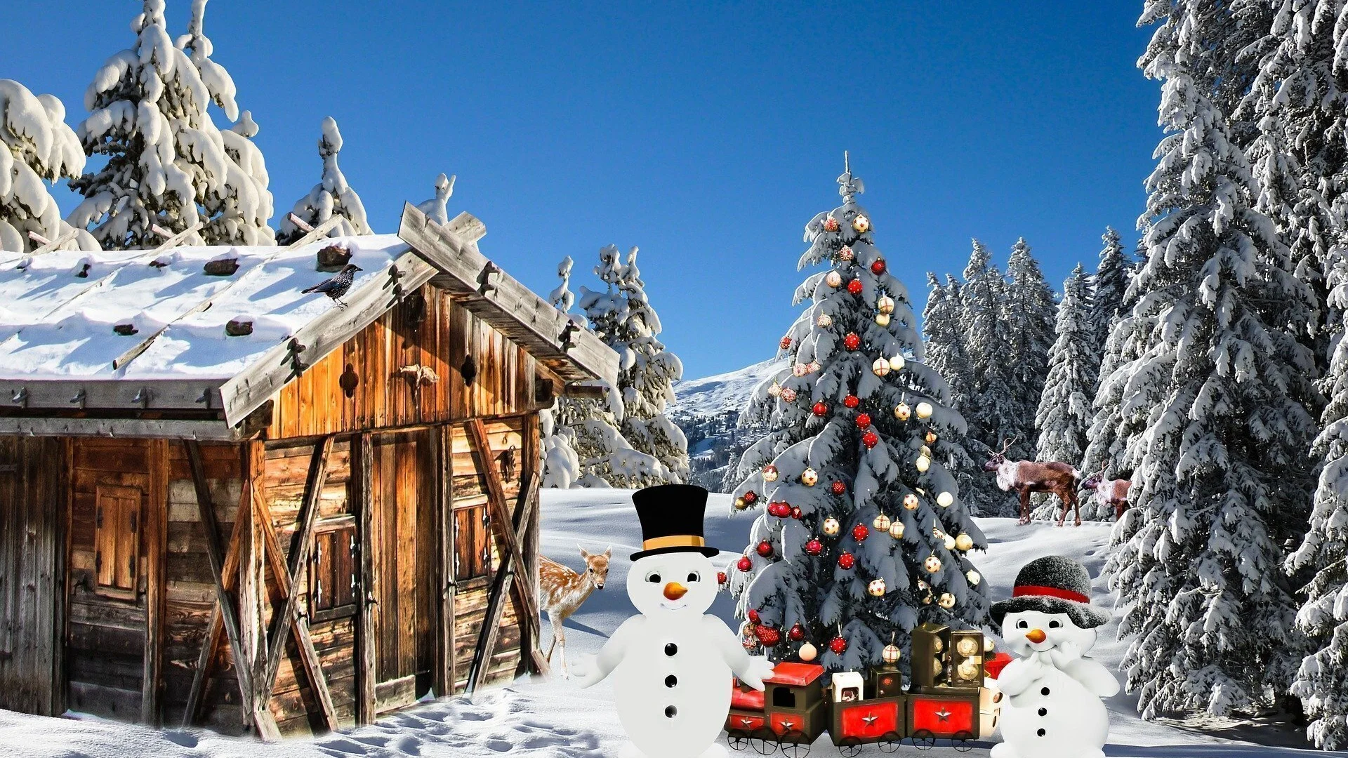 2025-12-13 Weihnachtsfeier Jugend.jpg | © Bild von G.C. auf Pixabay