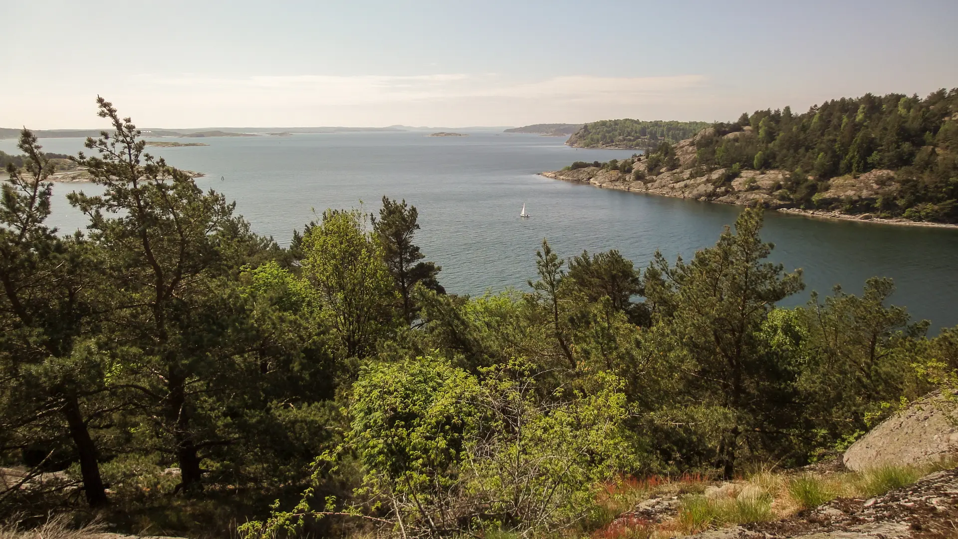 2026-07-31 Schweden Sommerhütte Jugend | © Copyright: DAV Sektion Isny