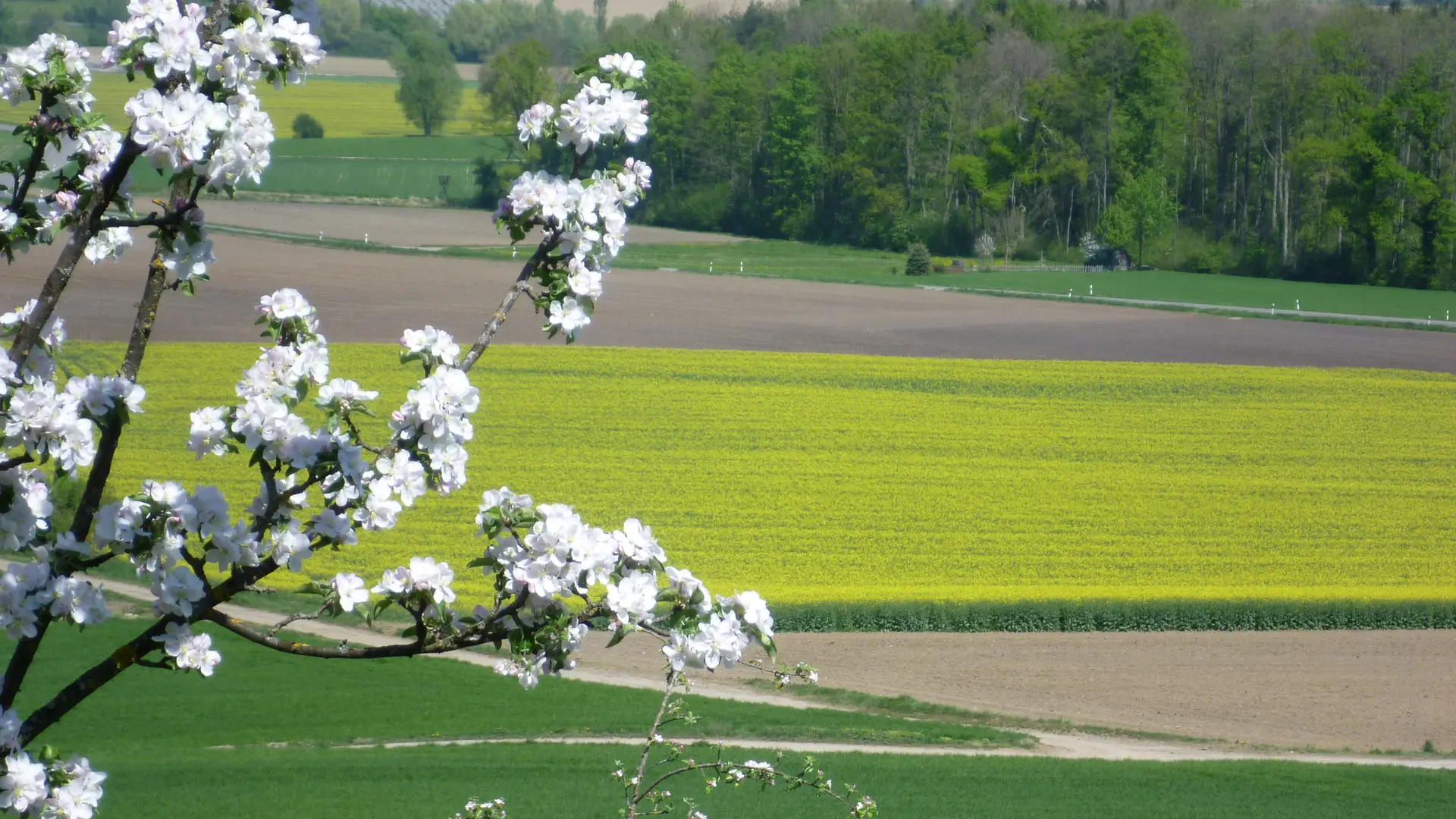 2026-04-18 Frühjahrstour ans Schwäbische Meer | © Copyright: DAV Sektion Isny