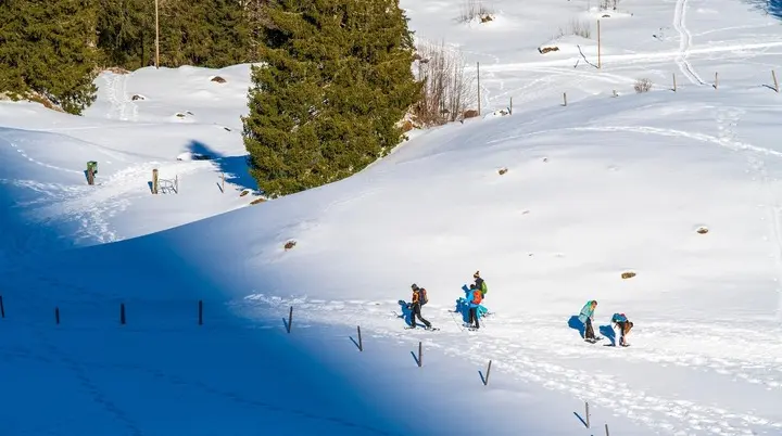 2026-02-08 Schneeschuhtour zum Seelenkopf | © Copyright: DAV Sektion Isny