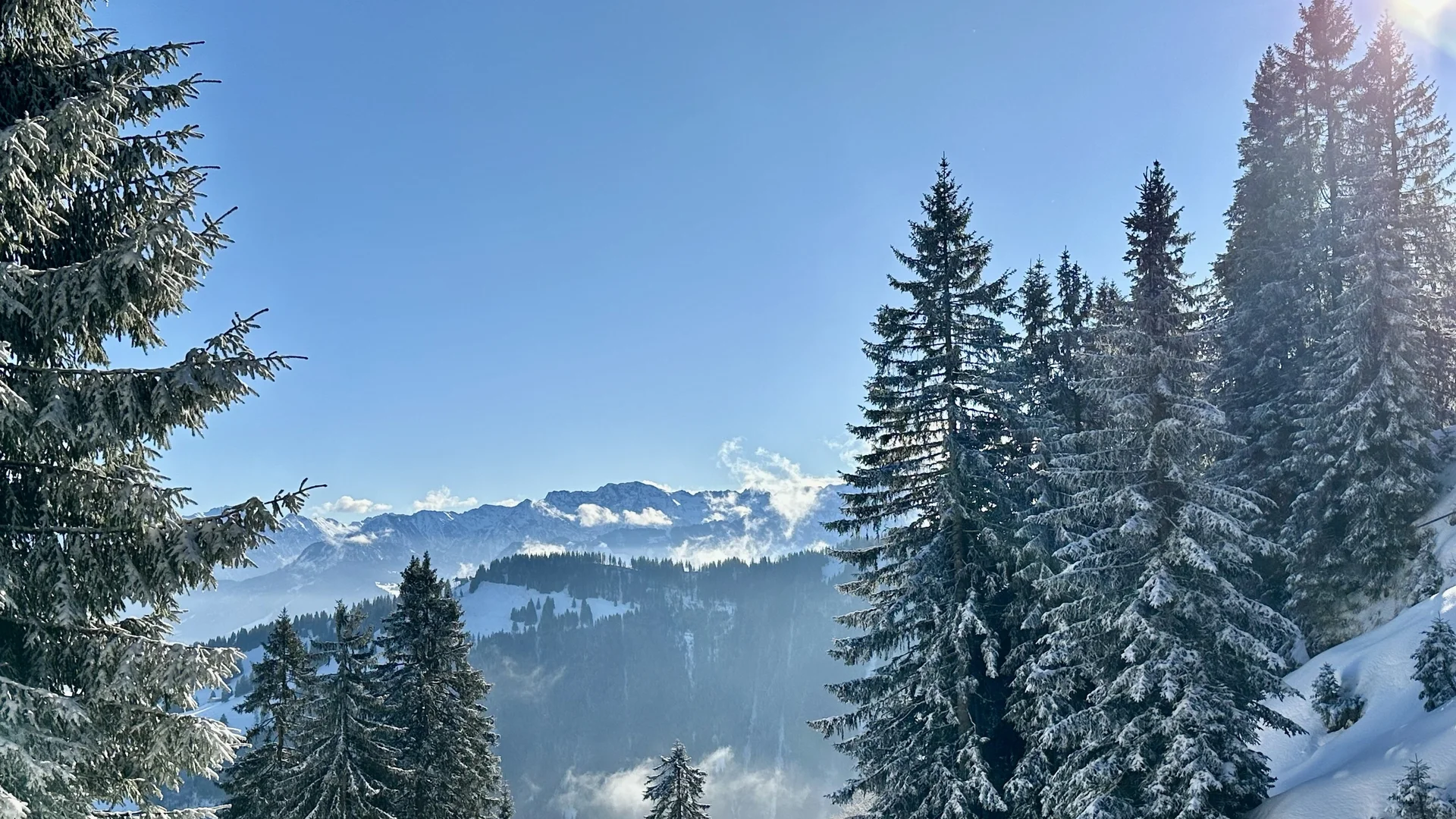 2026-01-23 Sektionstouren 2025 | © Copyright: DAV Sektion Isny