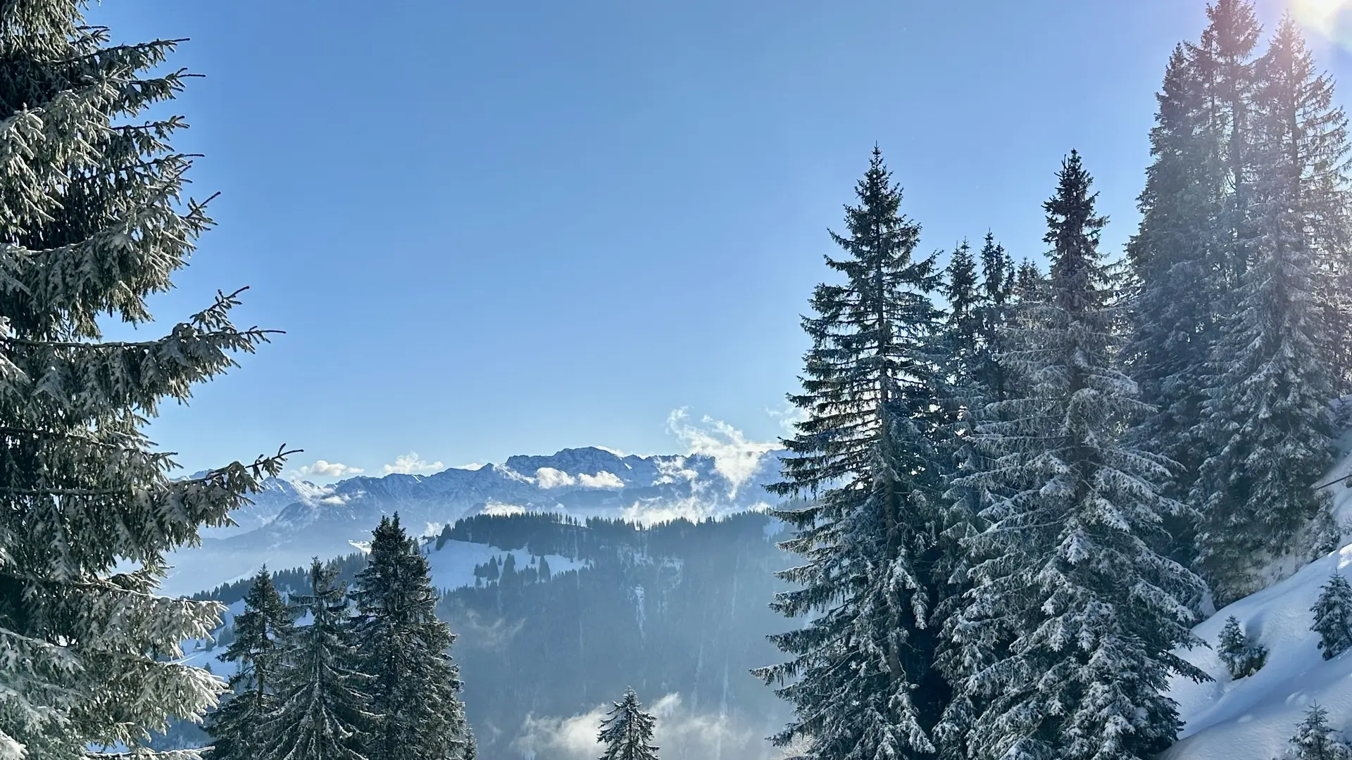 2026-01-23 Sektionstouren 2025 | © Copyright: DAV Sektion Isny