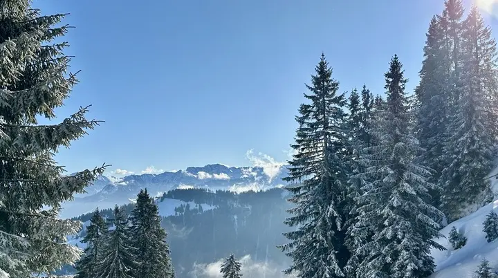 2026-01-23 Sektionstouren 2025 | © Copyright: DAV Sektion Isny