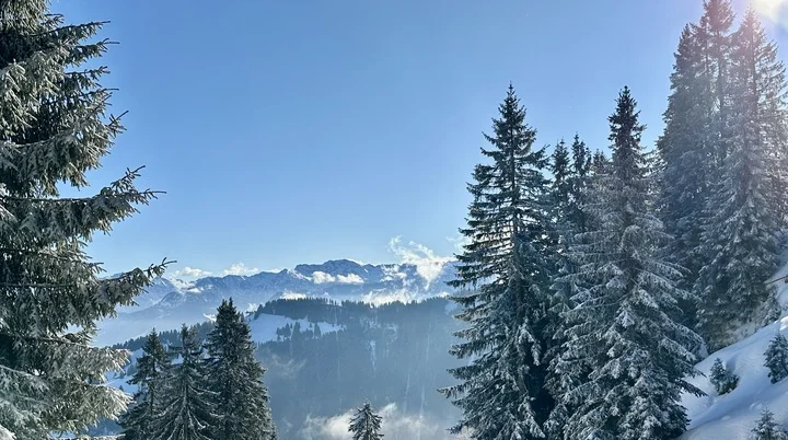 2026-01-23 Sektionstouren 2025 | © Copyright: DAV Sektion Isny