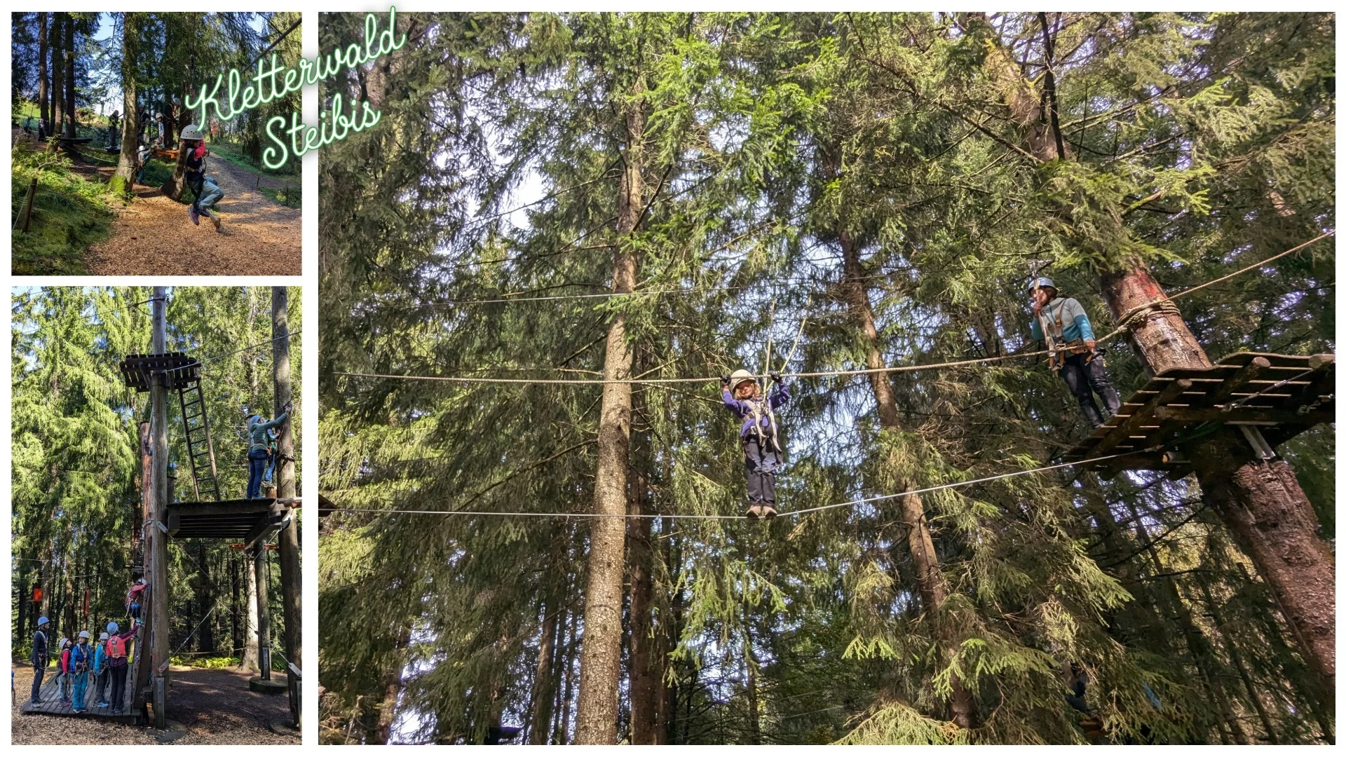 Steibis Seilgarten | © Copyright: DAV Sektion Isny