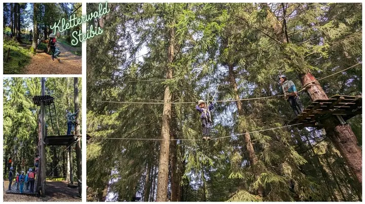 Steibis Seilgarten | © Copyright: DAV Sektion Isny