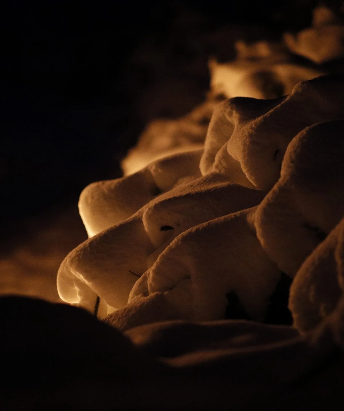 © Copyright: DAV Sektion Isny