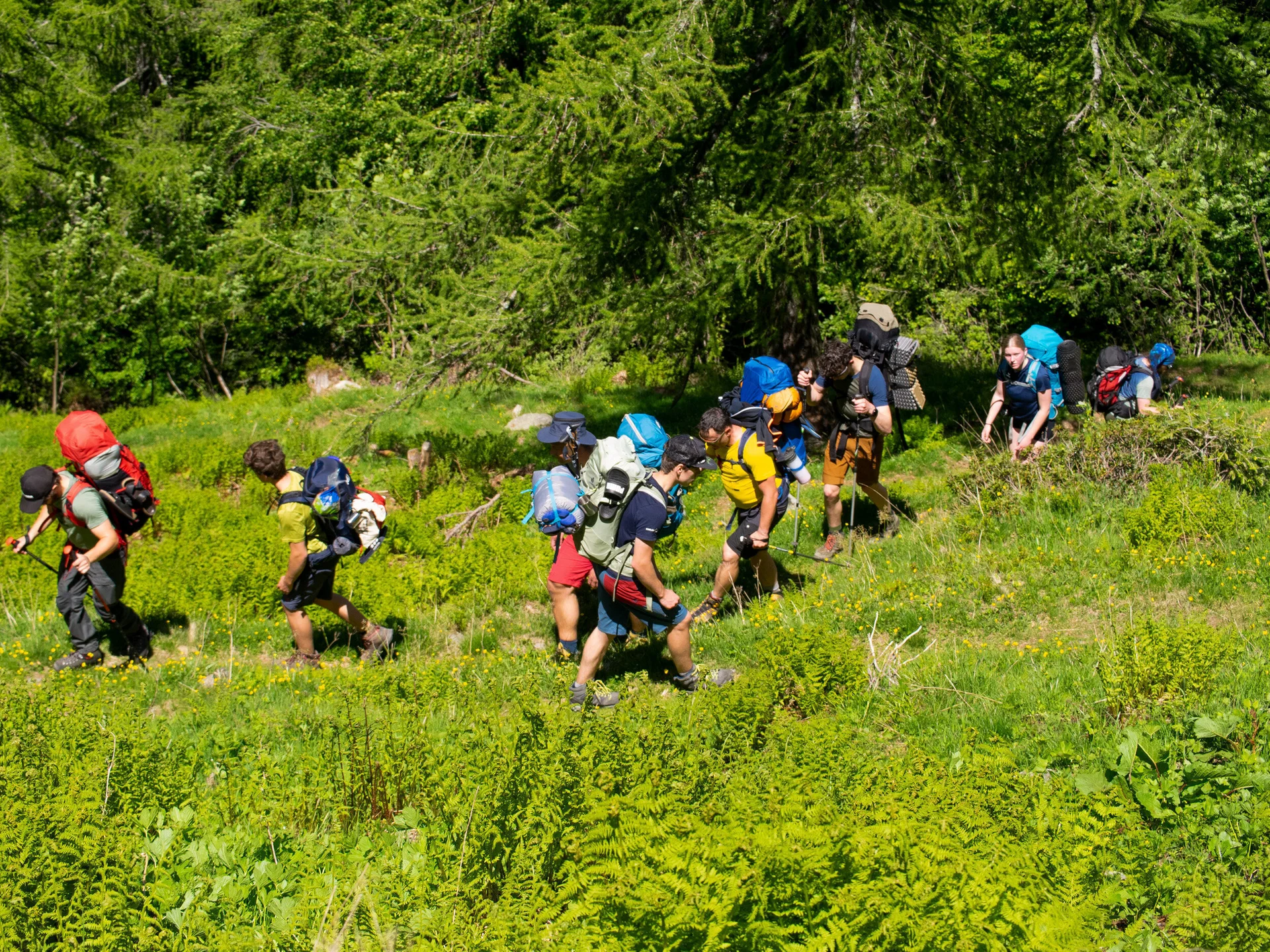 2025-05-29 Die Jugend in der Wildnis | © Copyright: DAV Sektion Isny