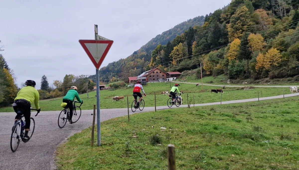 2025-10-11 Rennradtour "Rohrmoosklassiker" | © Copyright: DAV Sektion Isny