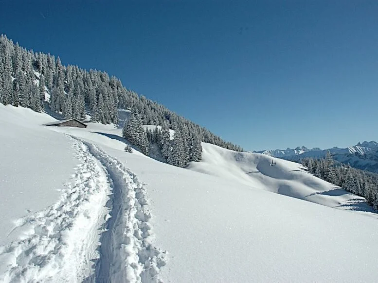 2025-02-01 Schneeschuhtour zum Feuerstätter Kopf | © Copyright: DAV Sektion Isny